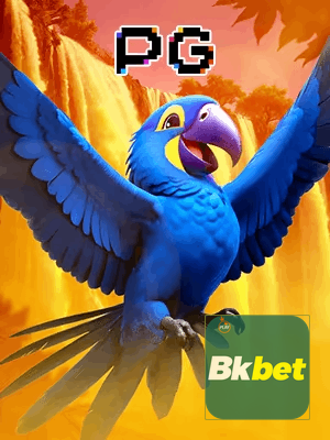BKBET bônus — cashback 15 por cento e níveis VIP